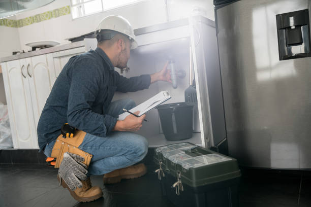 Best Local Plumber Services  in Mckenzie, TN