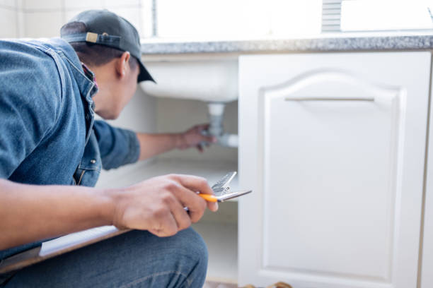 Best Toilet Repair Services  in Mckenzie, TN