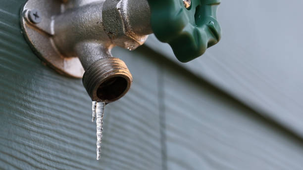 Best Same-Day Plumbing Service  in Mckenzie, TN